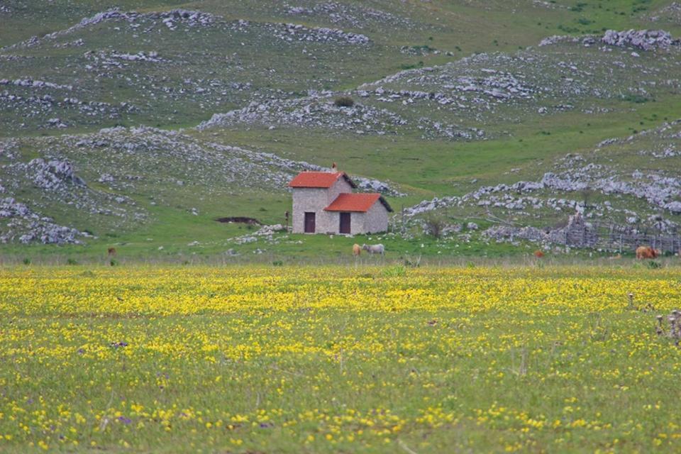La Stella Danzante B&B Camerata Vecchia Buitenkant foto